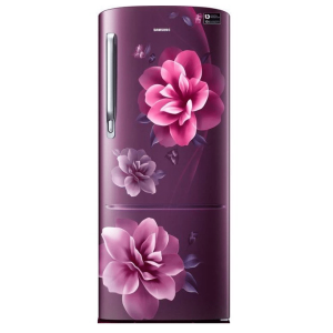 Samsung 230Ltr. Single Door Refrigerator RR24A272ZCR/IM