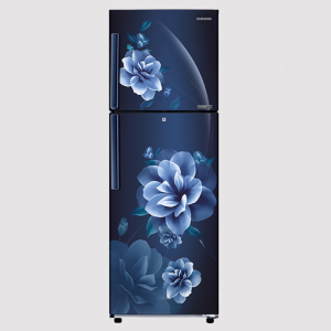 Samsung 253Ltr. Double Door Refrigerator RT28C3221CU/IM